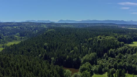 Hermosa-Zona-Forestal-De-Una-Amplia-Toma-De-Drones-Con-Un-Pequeño-Estanque-En-Primer-Plano-Y-Los-Alpes-En-El-Fondo---Paisaje-Natural-Puro