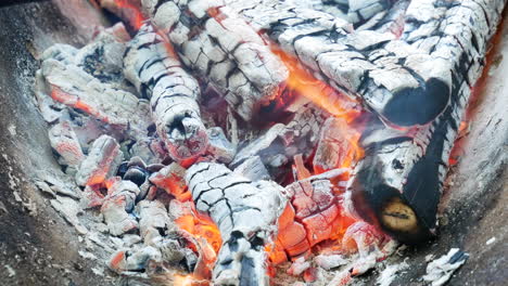 Burning-birch-logs-in-barbecue-during-daylight,-close-up-view
