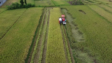 Aerial-view-of-Combine-harvester-machine-with-rice-paddy-field