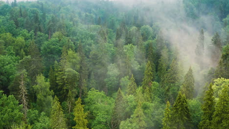 Luftaufnahme:-Bewölkte-Waldlandschaft-Am-Berghang,-4k-Naturlandschaft
