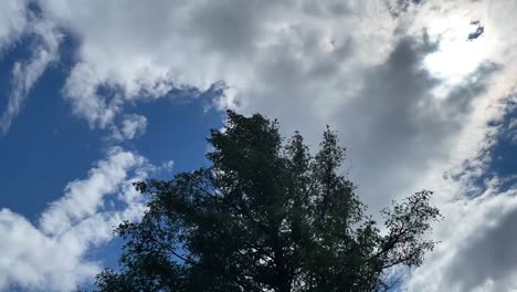 Time-lapse-of-passing-clouds-with-tree-in-foreground