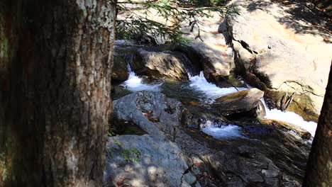 Easy-flowing-stream-in-Vermont-from-behind-a-tree