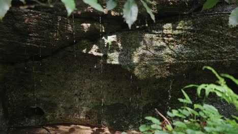 Mountain-Spring-water-dripping-from-rocks-into-river,-Mt-Daisen,-Tottori-Japan