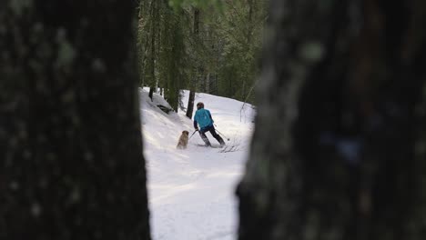 Hombre-Esquiando-Cuesta-Abajo-A-Través-Del-Bosque-Con-Un-Amigo-Perro-Feliz