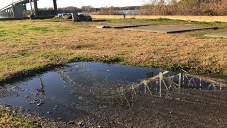 Memphis-Bridge-Reflection-in-puddle