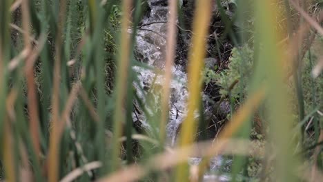 Creek-Water-Flowing-Downstream-Into-A-River,-SLOW-MOTION