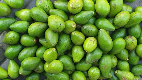 Huge-pile-of-freshly-picked-harvested-green-avocado-at-the-local-fruit-and-vegetable-market-on-tropical-island-Timor-Leste,-South-East-Asia