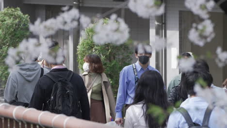 Japoneses-Con-Máscaras-Caminando-Por-La-Calle-Durante-La-Temporada-De-Sakura-En-Tokio,-Japón---Cámara-Lenta