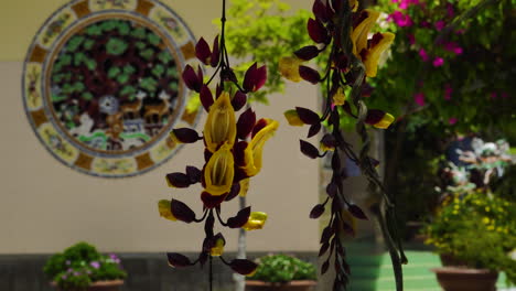 Blumen-Im-Buddhistischen-Gia-Nguyen-Tempel-In-Vietnam