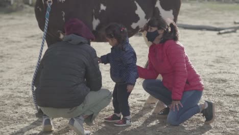 Junges-Mädchen-Berührt-Das-Pferd-Mit-Hilfe-Von-Tiertrainern-In-Argentinien