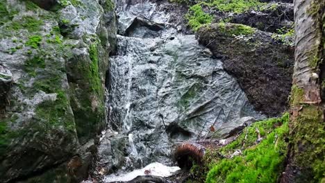 Kleiner-Wasserfall-Und-Ein-Wasserstrahl-Im-Wald