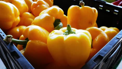 Yellow-bell-peppers-at-farmer's-market