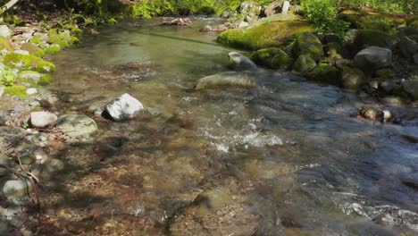 Pure-Mountain-Water-River-Flowing-Through-Daisen,-Tottori-Japan