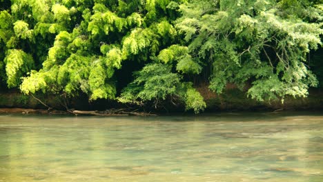 Ruhige,-Weite-Aufnahme-Des-Fließenden-Flusses