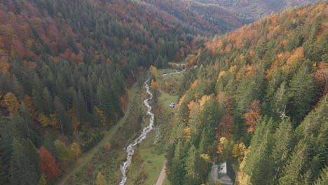 Herbstfarben-In-Nadelbäumen-Im-Nationalpark-Triglav,-Slowenien