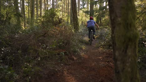 Slow-motion-of-mountain-biker-riding-towards-camera-on-a-trail-in-the-forest-at-golden-hour