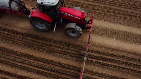 Birds-view-drone-flight-near-tractor-drives-over-field-and-pours-young-lettuce-plants-with-water