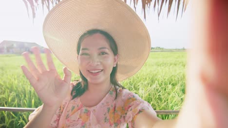 Adult-woman-making-selfie-video-call-showing-large-rice-production-field