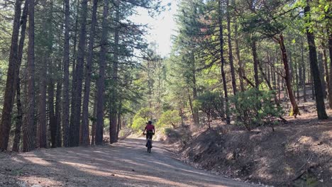 MTB-off-road-mountain-bike-cyclist-going-away-in-Oregon,-USA