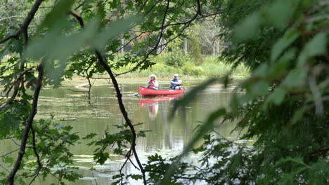 Blick-Durch-Baumblätter-Auf-Menschen,-Die-Im-Alten-Ausable-Kanal-Im-Pinery-Provincial-Park-In-Grand-Bend,-Ontario,-Kanada,-Kanu-Fahren