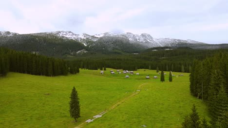 Mesmerizing-view-of-green-plateau-surrounded-by-dense-tall-trees-and-snow-capped-mountains