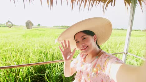Lovely-woman-making-video-call-showing-large-rice-production-field