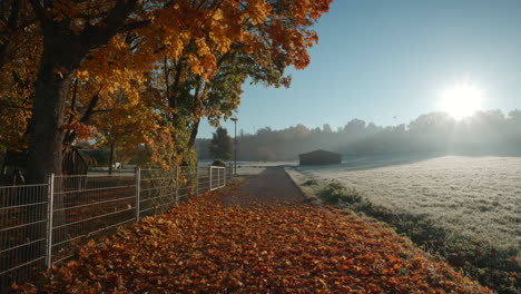 Wunderschönes-Herbstlaub,-Das-Auf-Eine-Leere-Straße-Neben-Einem-Feld-Im-Dorf-In-Schönaich,-Deutschland,-Europa-Fällt