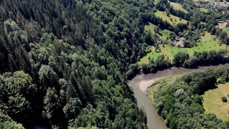 Luftaufnahme-Des-Flusses-Widder,-Umgeben-Von-Grünem-Wald-An-Einem-Sonnigen-Tag-In-Rumänien