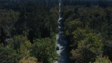 Tilt-down-aerial-view-at-cars-driving-along-a-road-framed-by-a-green-forest