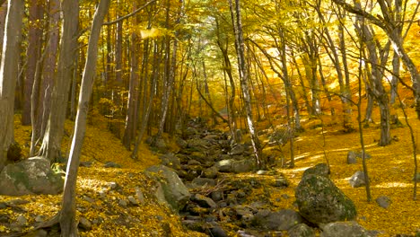 Rocky-river-stream-in-autumn-forest