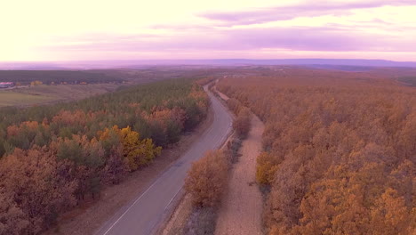 Aerial-view-of-country-road-during-fall-with-beautiful-tree-colors-and-sunny-day