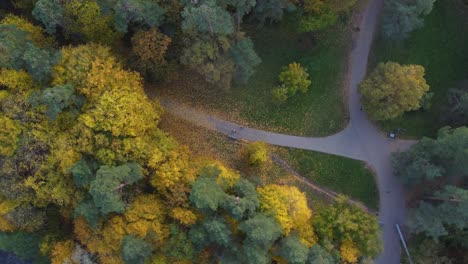 AERIAL-Top-Down-Orbiting-Shot-of-a-Forest-Clearing-in-a-Park-in-Vilnius,-Lithuania-with-Vibrant-Autumn-Foliage