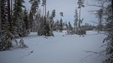 Zeitrafferaufnahme-Einer-Wunderschönen-Winterlandschaft-Mit-Schnee-Und-Wechselhaftem-Wetter