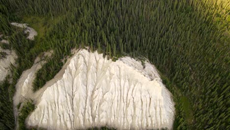 Aerial-drone-perspective-of-a-huge-limestone-rock-with-grooves-surrounded-by-a-pine-forest-in-the-British-Columbia,-Canada