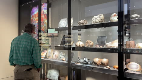 Ein-Erwachsener-Mann-Mit-Stoffmaske-Bewundert-Steine-Und-Fossilien-In-Einer-Glasvitrine-Während-Der-Tucson-Gem-Show