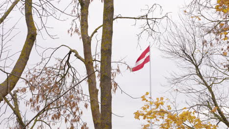 Lettische-Flagge-Im-Herbst-Durch-Bäume-Sichtbar