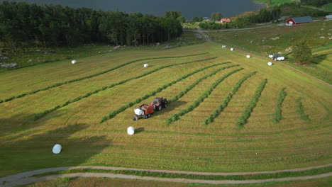 Tractors-collect-foliage-crops-for-silage,-and-make-plastic-wrapped-bales,-aerial