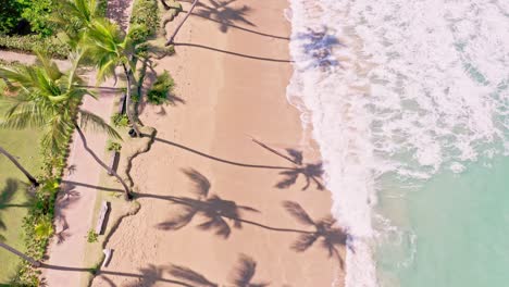 Waves-crash-on-tropical-Caribbean-beach-with-palm-tree-shadows,-aerial