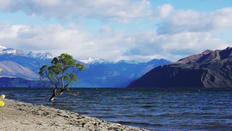 Epische-Zoomansicht-Des-Wanaka-Baums,-Der-Berge,-Der-Lupinenblüten-An-Einem-Windigen-Wanaka-See-Mit-Wellen,-Neuseeland-–-Dolly-Aufnahme