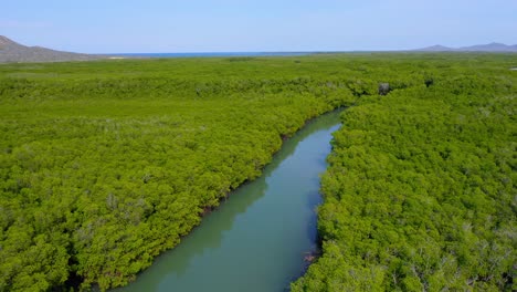 Biodiverser-Mangrovenwald-In-Monte-Cristi,-Dominikanische-Republik,-Luftaufnahme