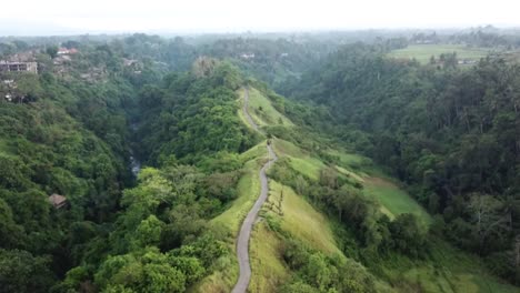 Campuhan-Ridge-Walk-Bali-Ubud-Ruta-De-Senderismo-Drone-Ascendente-Aéreo