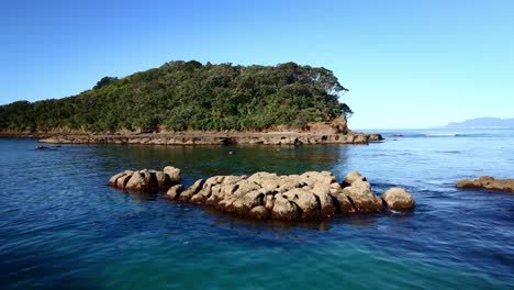 Aufsteigende-Antenne-über-Ruhigem-Wasser,-Die-Menschen-Zeigt,-Die-Im-Goat-Island-Marine-Reserve,-Neuseeland,-Schnorcheln