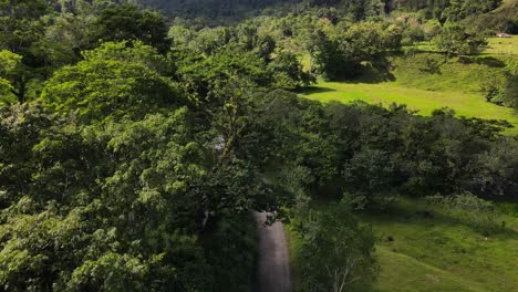 Drone-flying-close-above-the-tree-tops-of-a-central-American-jungle