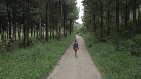 Woman-walks-on-rural-dirt-road-through-tall,-lush-evergreen-forest