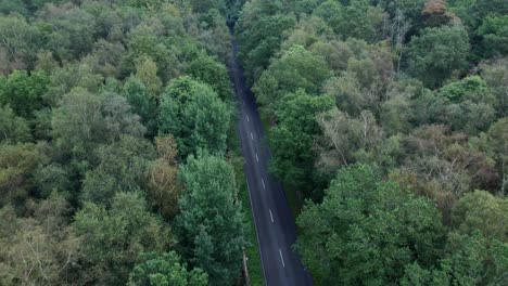 Aerial-view-of-a-road-cutting-through-forest-trees-in-the-countryside