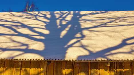 Intriguing-time-lapse-as-tree-shadow-moves-from-left-to-right-on-a-roof