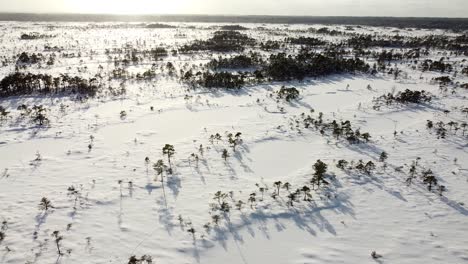 Aerial-drone-view-of-a-snow-covered-bog-on-a-beautiful-winter-day