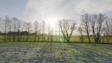 Silhouetted-Trees-With-Bare-Branches-In-Green-Fields-Backlit-Sunlight