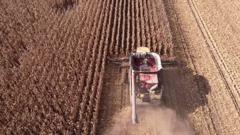 Aerial-View-Of-Combine-Harvester-Harvesting-Ripe-Corn-On-Harvest-Field-In-Southeast-Michigan---drone-shot
