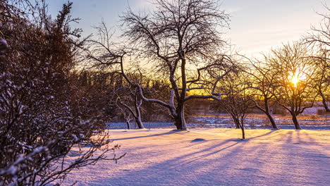 timelapse-winter-scene,-sun-setting-behind-leafless-trees-in-frozen-woods